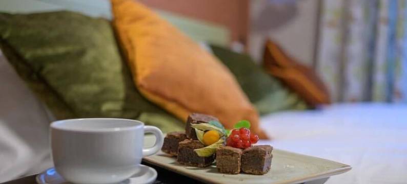 多伦酒店(Dølen Hotel)图片