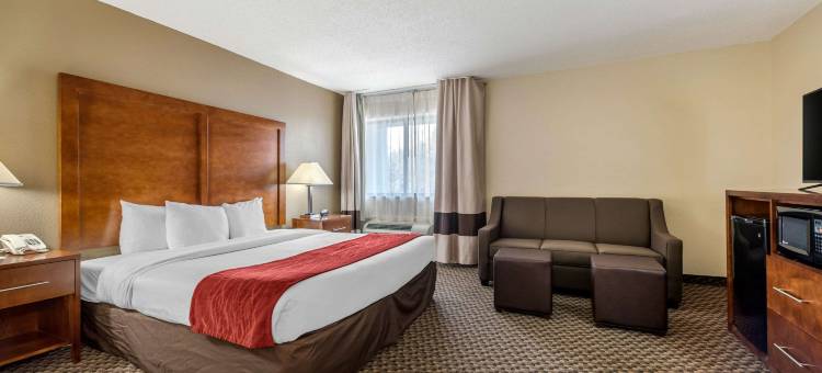 南印第安纳波利斯舒适酒店(Comfort Inn South)图片