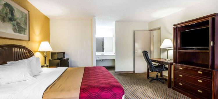 卡罗尔顿罗德威旅馆及套房(Rodeway Inn & Suites)图片