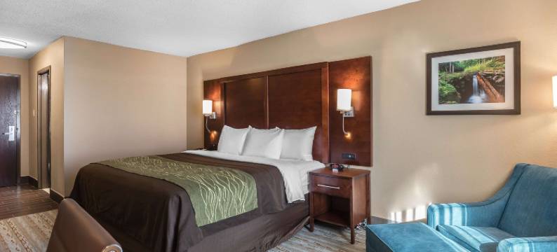 湾城舒适酒店 - 河滨(Comfort Inn Bay City - Riverfront)图片