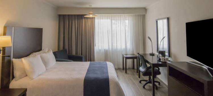 坦皮科迦马酒店(Gamma Tampico)图片