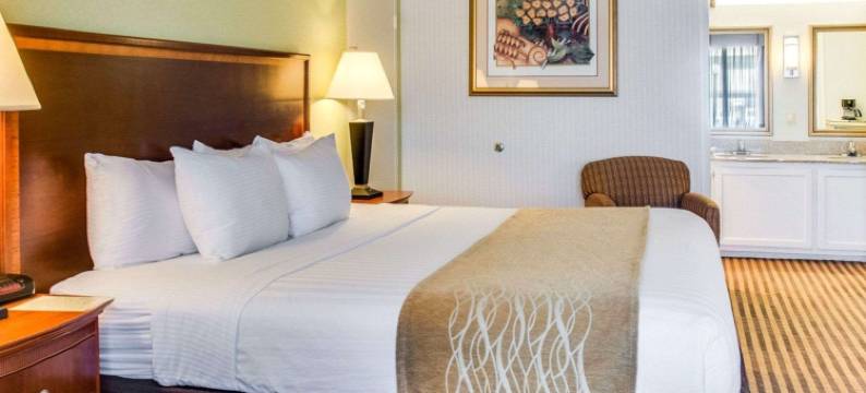 凯隆酒店(Clarion Inn)图片