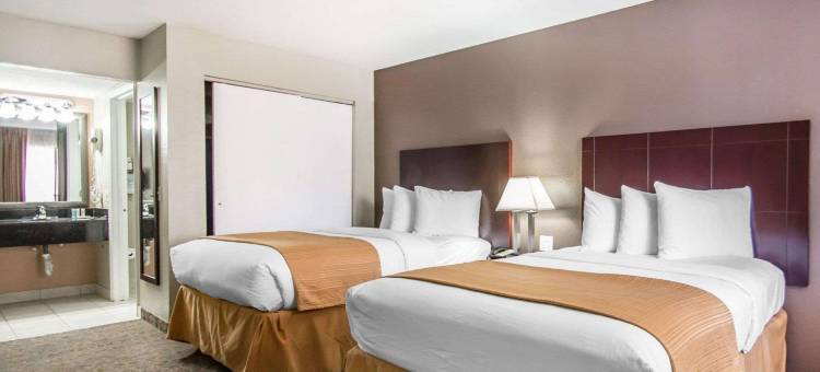 公园凯艺套房酒店(Quality Inn & Suites by the Parks)图片