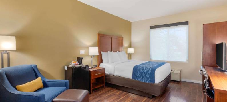 舒适套房酒店-近安大略机场(Comfort Inn & Suites Near Ontario Airport)图片