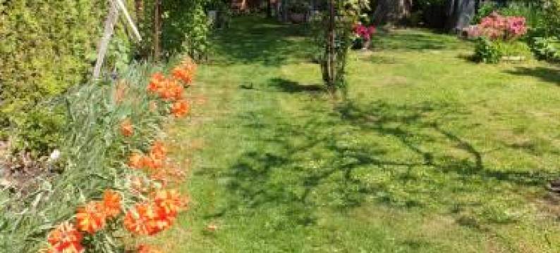 伯拉纳克旅馆(Pension Beranek)图片