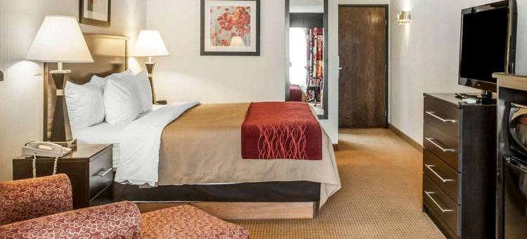 法明顿凯艺套房酒店(Quality Inn & Suites Farmington)图片