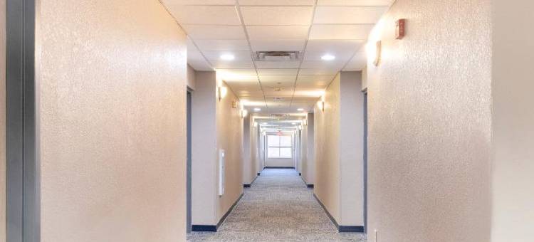 奥兰多郊区公寓酒店-奥科伊-冬季花园(Suburban Studios Orlando - Ocoee-Winter Garden)图片