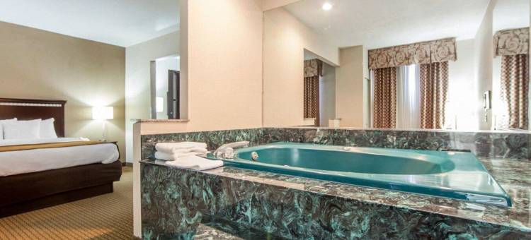 舒适套房酒店(Comfort Suites)图片