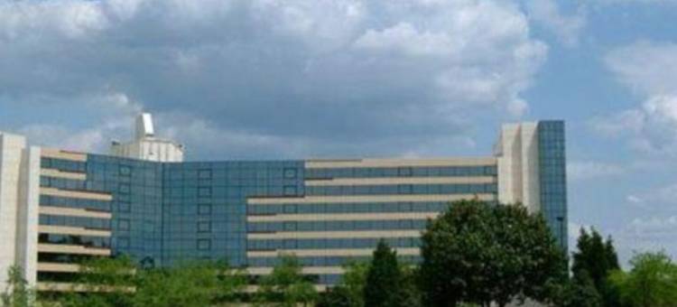 罗利达拉姆机场三角研究园喜来登帝国酒店(Sheraton Imperial Hotel Raleigh-Durham Airport at Research Triangle Park)图片