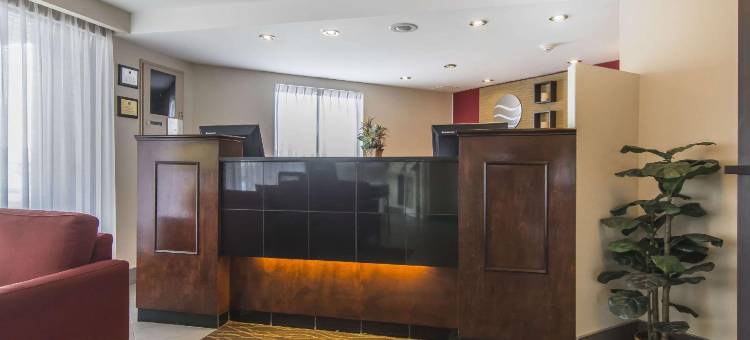 舒适酒店(Comfort Inn)图片