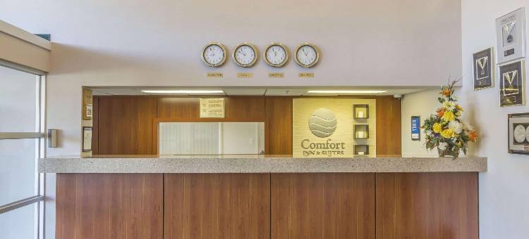 舒适套房酒店(Comfort Inn & Suites)图片