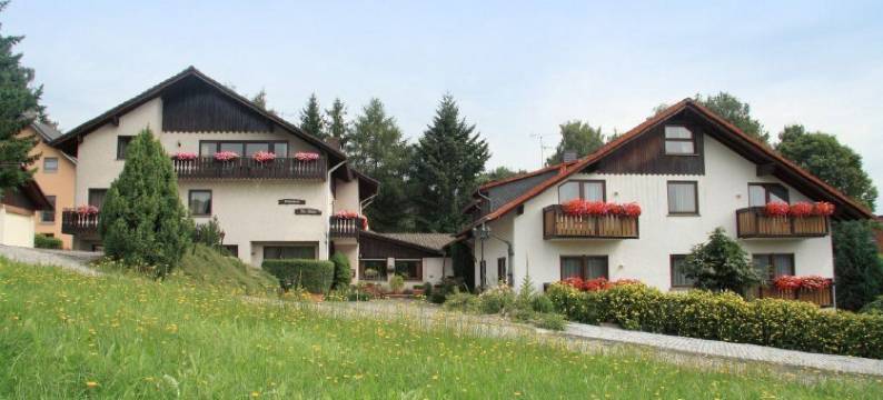 阿尔特穆尔隆酒店(Rhönhotel Alte Mühle)图片