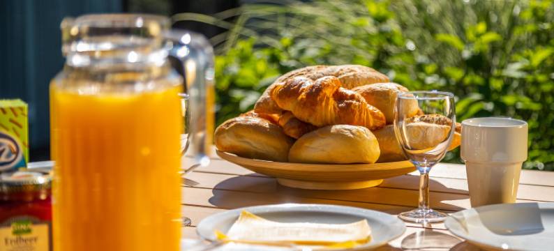 欧洲公园霍普豪森(EuroParcs Bad Hoophuizen)图片