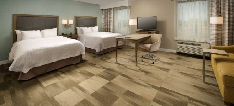 锡拉丘兹/凯瑞尔环路欢朋酒店(Hampton Inn & Suites Syracuse/Carrier Circle)图片