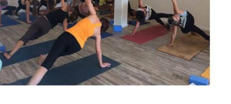 55旅舍及露营地(Hostel & Surfcamp 55)图片