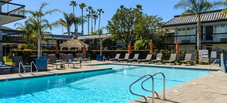 棕榈树花园酒店(Palm Garden Hotel)图片