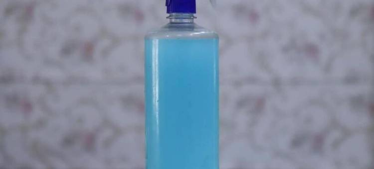 Surpin宫酒店(Hotel Surpin Palace)图片