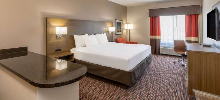 威奇托福尔斯密歇根州立大学区拉昆塔温德姆套房酒店(La Quinta Inn & Suites by Wyndham Wichita Falls - MSU Area)图片