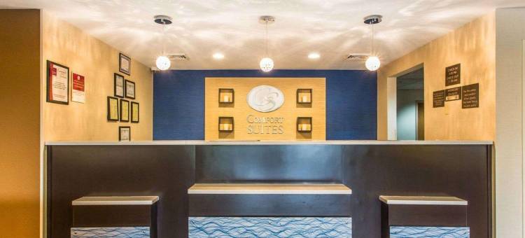 库克维尔舒适套房酒店(Comfort Suites Cookeville)图片