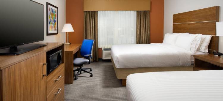 智选假日套房酒店-贝城(Holiday Inn Express & Suites Bay City)图片