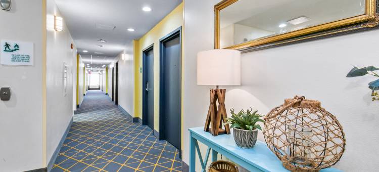 智选假日套房酒店卢斯代尔(Holiday Inn Express & Suites LUCEDALE by IHG)图片