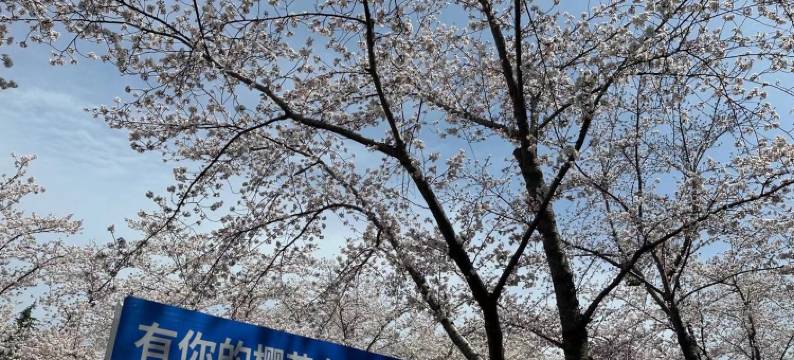 扬州仙云轻奢民宿图片