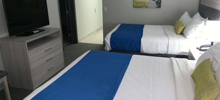 斯克兰顿克拉克斯萨米特贝斯特韦斯特优质酒店(Best Western Plus Clarks Summit Scranton)图片