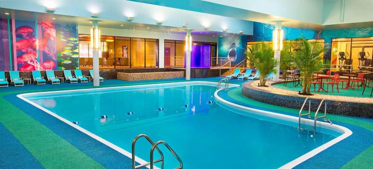 尼亚加拉瀑布喜来登酒店(Sheraton Niagara Falls)图片