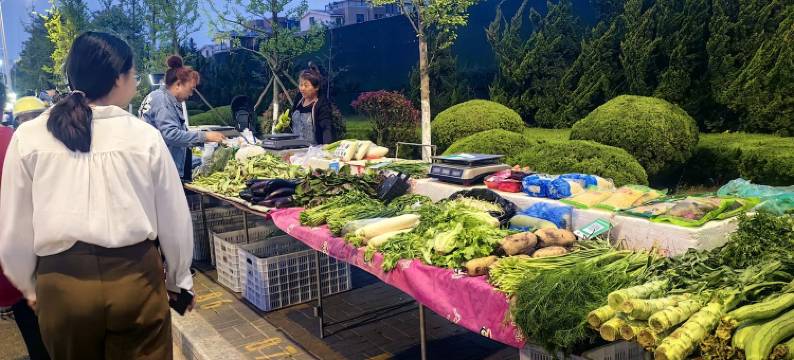 大地家政民宿(观海路分店)图片