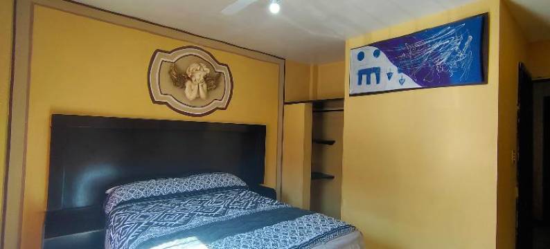 OYO 科隆酒店，双百广场，萨卡特卡斯中心(OYO Hotel Colón, Plaza Bicentenario, Zacatecas Centro)图片