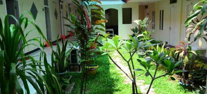 任抹里雅酒店(Ria Hotel Jember)图片