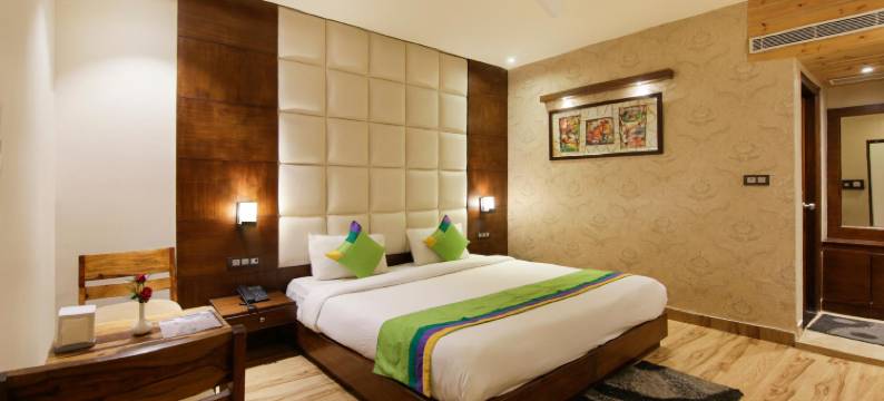 Treebo 旁遮普自然公寓, 法里达巴德火车站附近(Treebo Punjabi Nature Residency, Near Faridabad Railway Station)图片