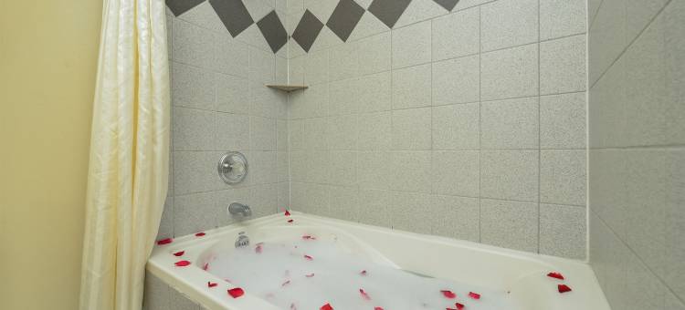 尤金大学旅馆&套房酒店(University Inn and Suites Eugene)图片