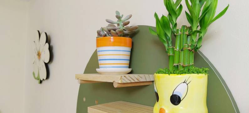 清舍公寓(林荫路分店)图片