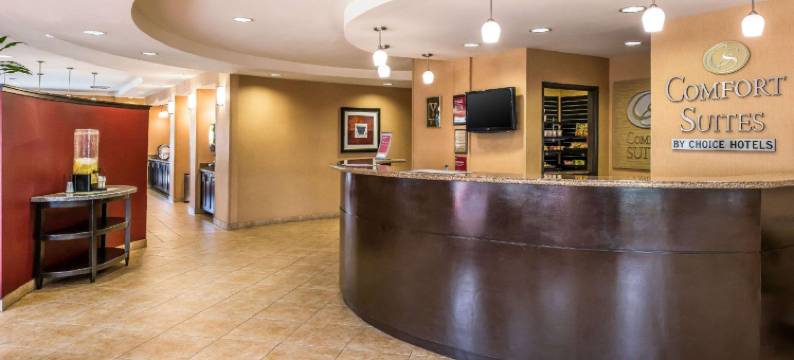 安大略机场会议中心舒适套房酒店(Comfort Suites Ontario Airport Convention Center)图片