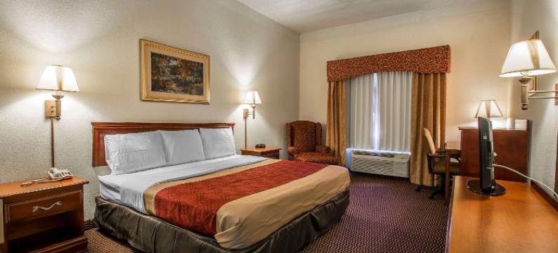 伊克诺套房酒店(Econo Lodge Inn & Suites)图片