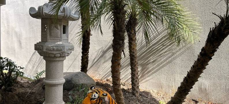 何姐姐的民宿(西景线分店)图片