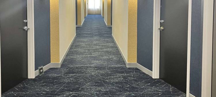 康福特套房辛普森维尔 - 格林维尔(Comfort Suites Simpsonville - Greenville)图片