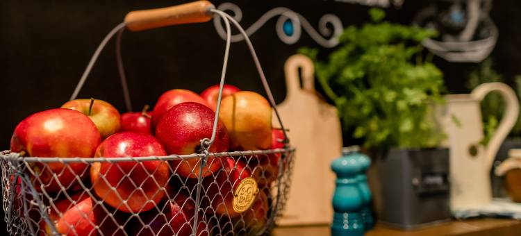 卡尔斯鲁厄的摩德尔一号(Motel One Karlsruhe)图片