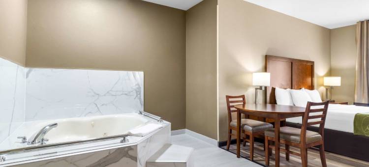 舒适套房酒店(Comfort Suites)图片