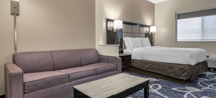 舒适酒店和套房利物浦 - 锡拉丘兹(Comfort Inn & Suites Liverpool - Syracuse)图片