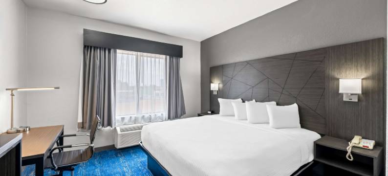 皇家宫殿贝斯特韦斯特套房酒店(Best Western Palace Inn  Suites)图片