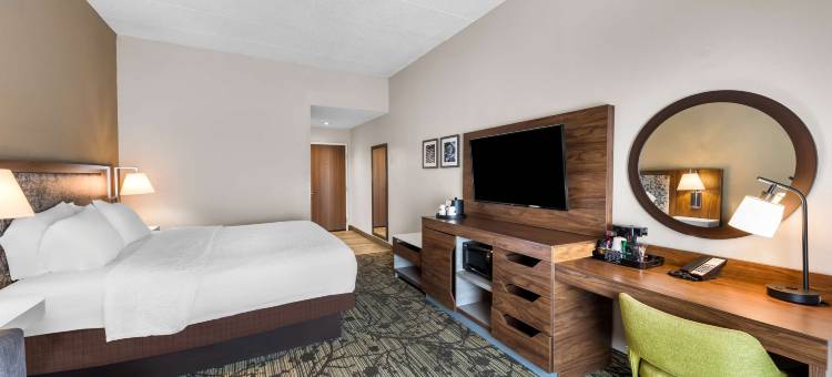 希尔顿欢朋酒店-代顿胡伯高地(Hampton Inn Dayton/Huber Heights)图片