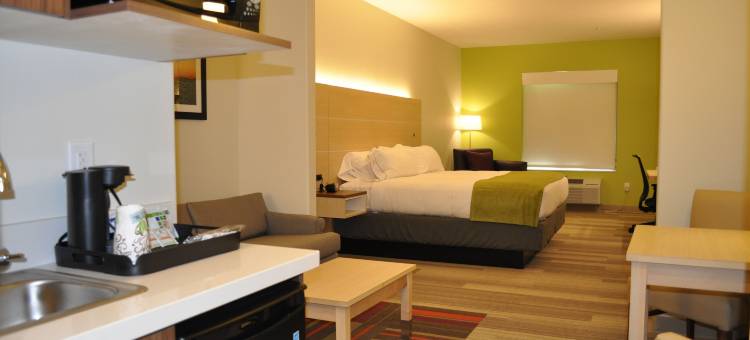 布莱斯智选假日套房酒店(Holiday Inn Express & Suites Price)图片