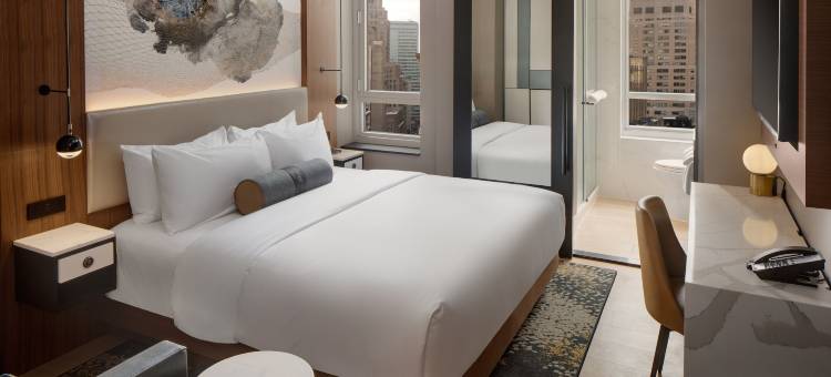 纽约市中心华尔街英迪格酒店，洲际旗下(Hotel Indigo NYC Downtown - Wall Street)图片