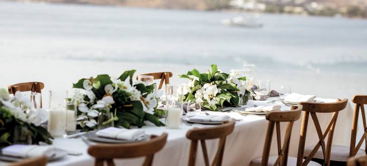 博德鲁姆艾迪逊酒店(The Bodrum EDITION)图片