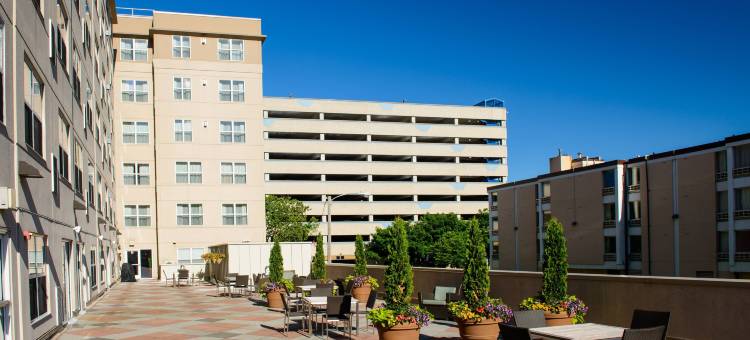 罗切斯特梅奥诊所区Residence Inn 酒店(Residence Inn Rochester Mayo Clinic Area)图片