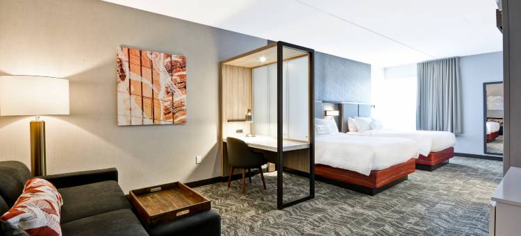 辛辛那提布鲁艾施SpringHill Suites酒店(SpringHill Suites Cincinnati Blue Ash)图片