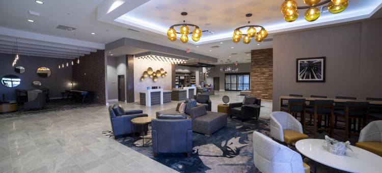 斯帕坦堡希尔顿花园酒店(Hilton Garden Inn Spartanburg)图片