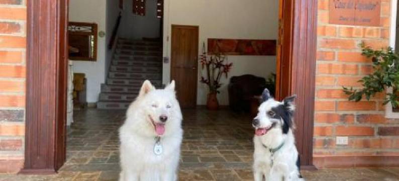 Granja del Cafe Hotel y Centro de Convenciones图片